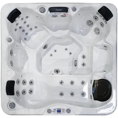 Avalon EC-849L hot tubs for sale in Newark