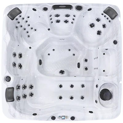 Avalon EC-867L hot tubs for sale in Newark