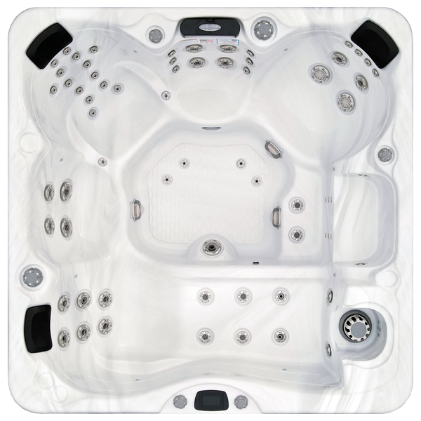 Avalon-X EC-867LX hot tubs for sale in Newark
